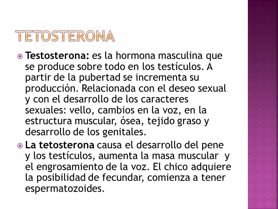 Diapositiva10